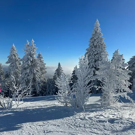 Appartement Infinity Klinovec 5 Loučná pod Klínovcem