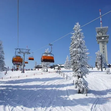 Infinity Klinovec Apartment 5 Апартаменты *