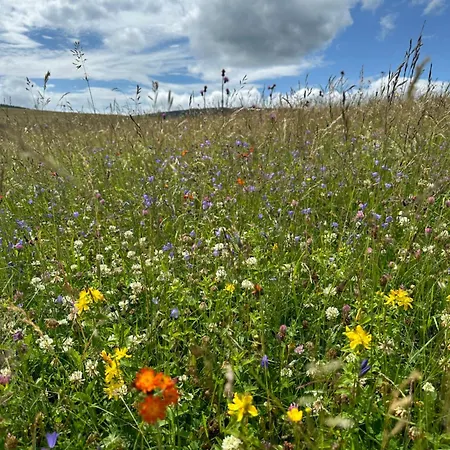 아파트 Infinity Klinovec 5 Loučná pod Klínovcem