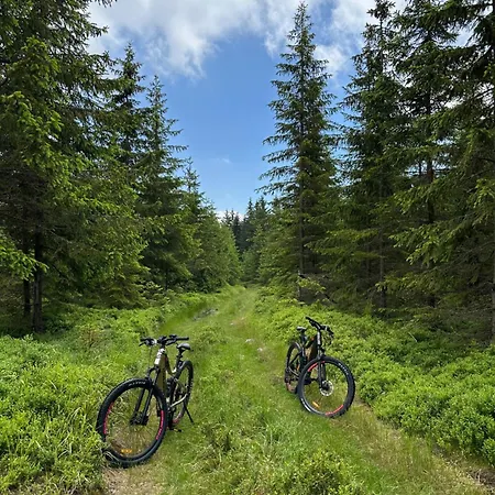 Infinity Klinovec 5 아파트 *