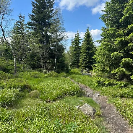 아파트 Infinity Klinovec 5 Loučná pod Klínovcem