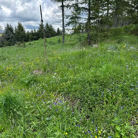 Infinity Klinovec 5 Loučná pod Klínovcem