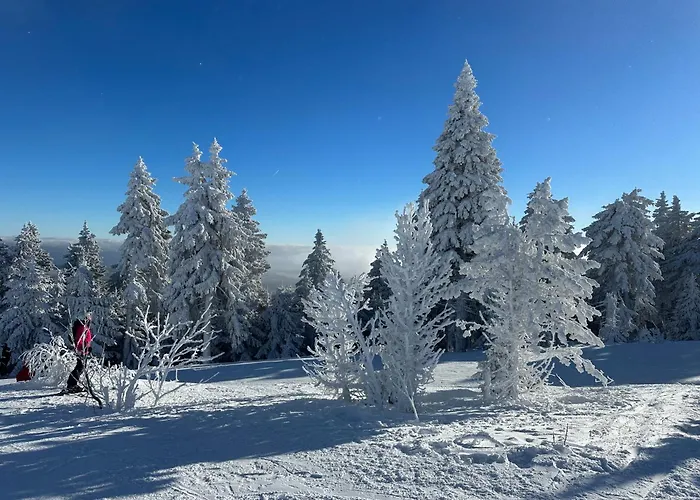 아파트 Infinity Klinovec 5 Loučná pod Klínovcem