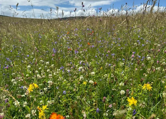 아파트 Infinity Klinovec 5 Loučná pod Klínovcem