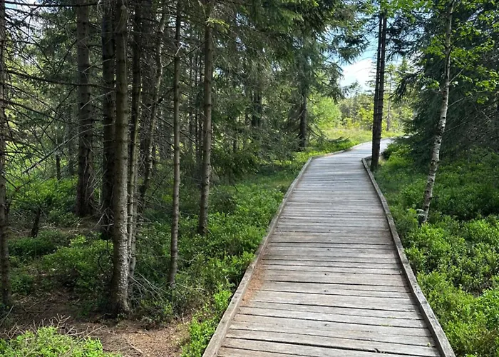 아파트 Infinity Klinovec 5