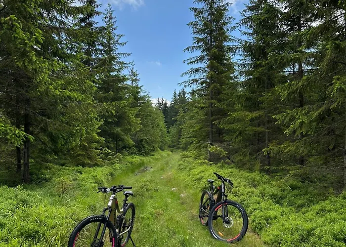 Infinity Klinovec 5 شقة *