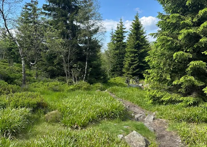 아파트 Infinity Klinovec 5 Loučná pod Klínovcem