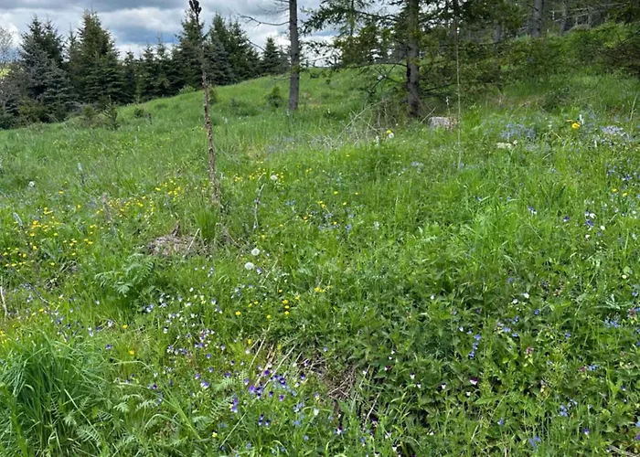 Infinity Klinovec 5 Loučná pod Klínovcem